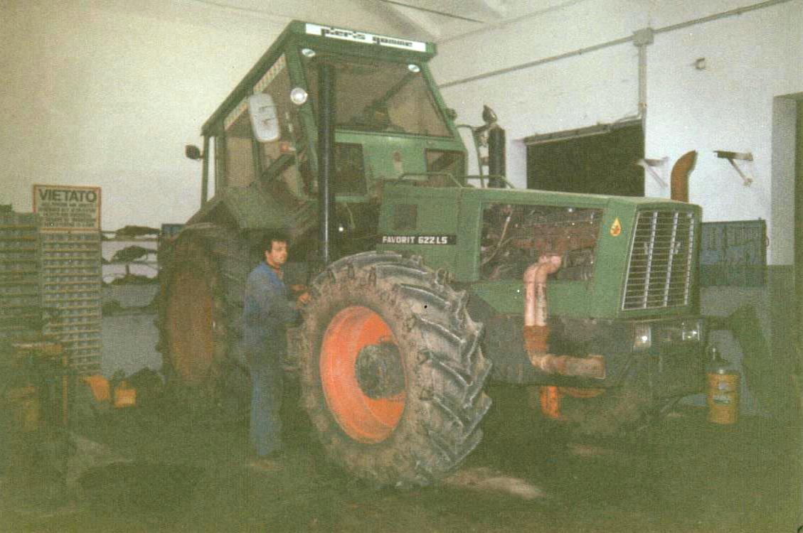 Ormia 1980